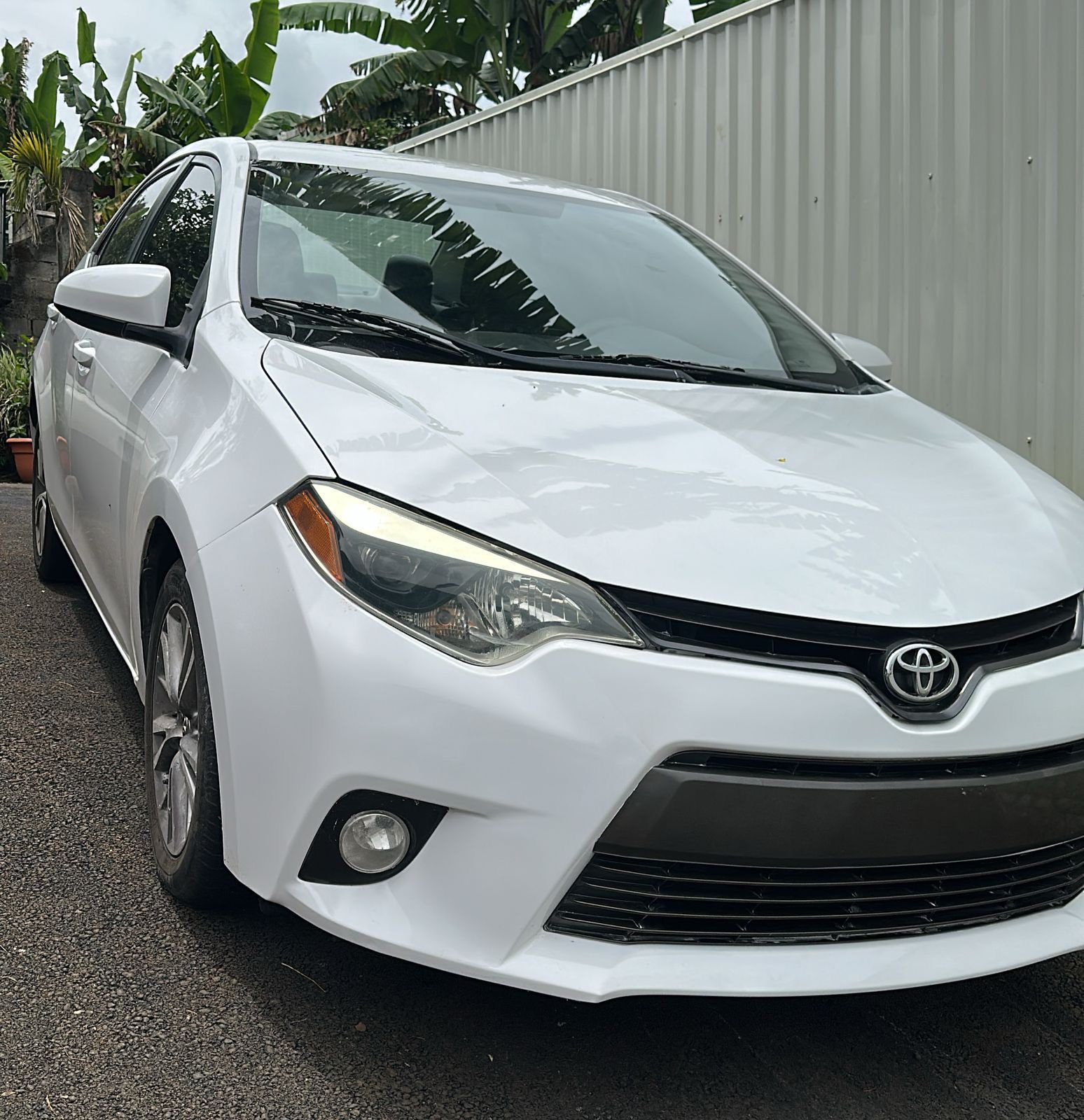 TOYOTA COROLLA LE