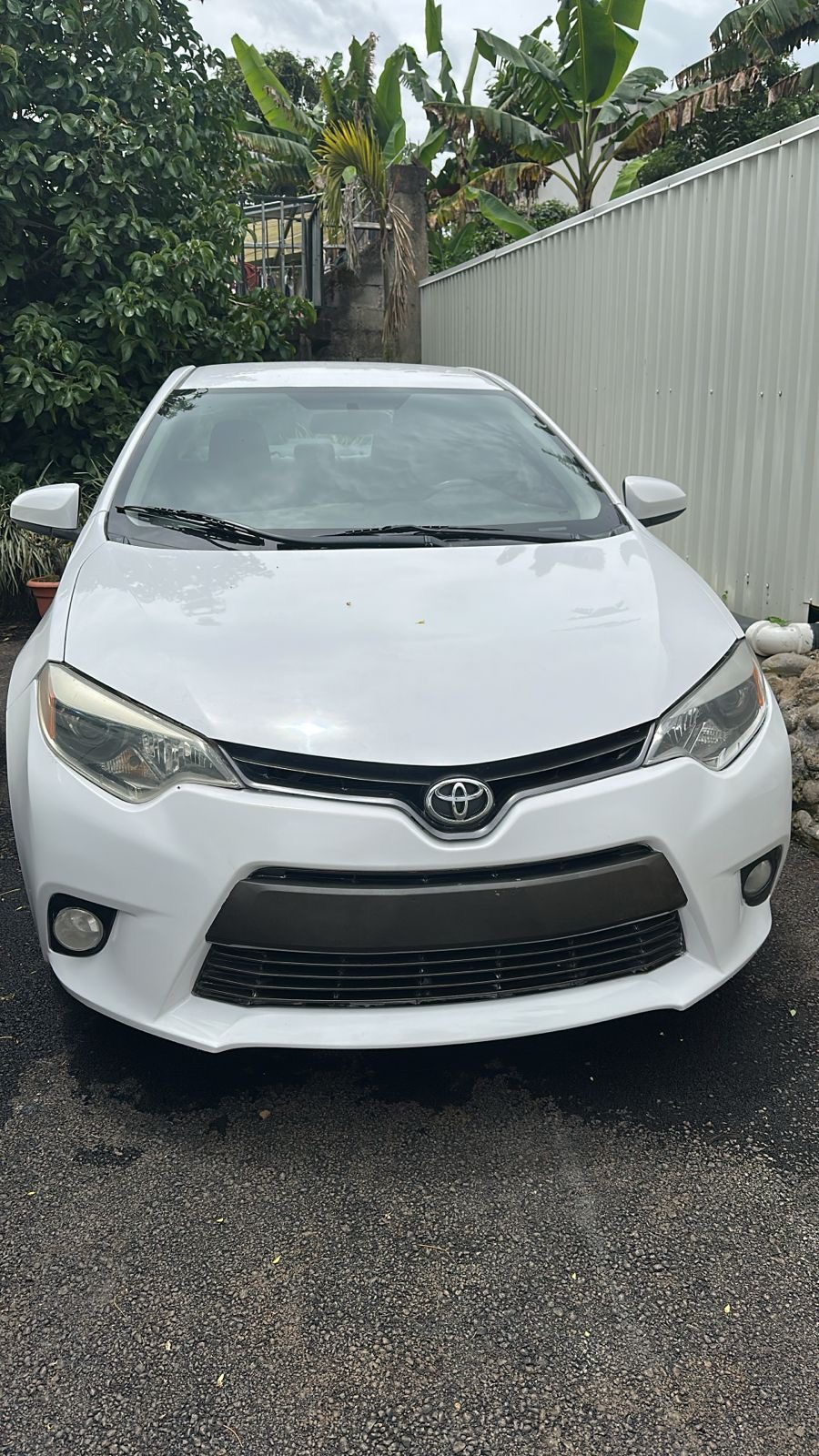 TOYOTA COROLLA LE