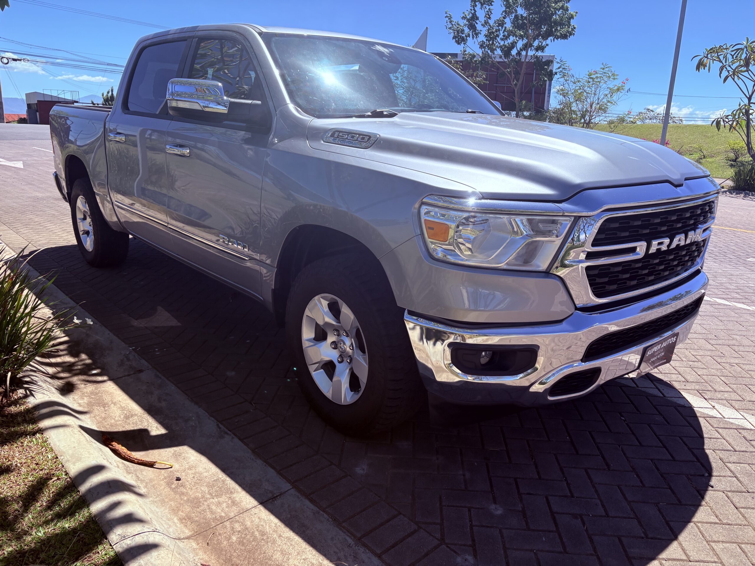 DOGE RAM 1500